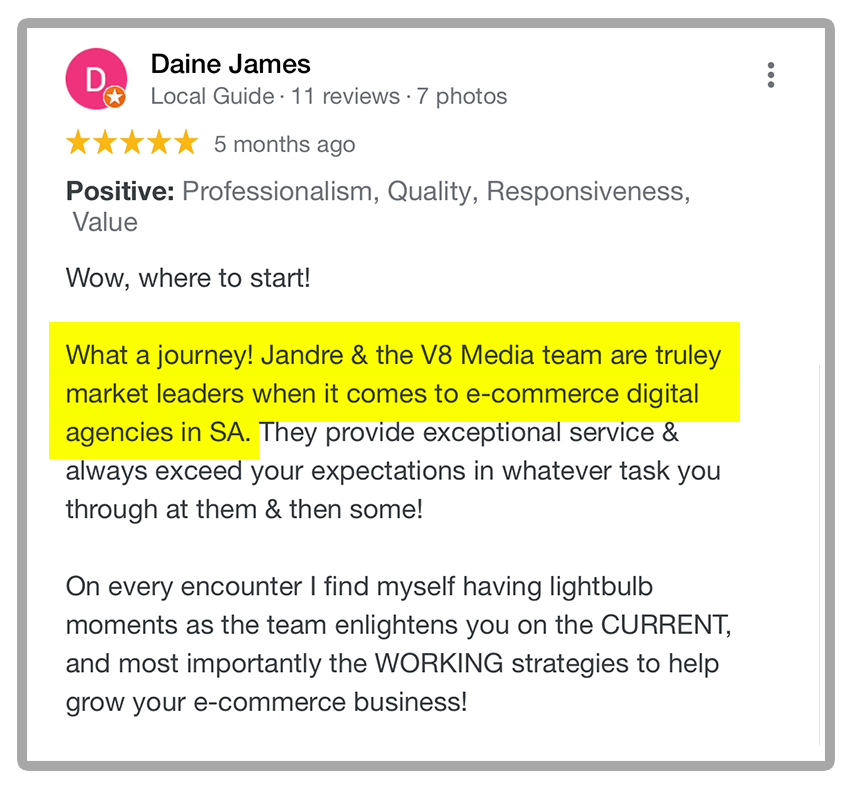 daine-review-v8-digital-media-agency